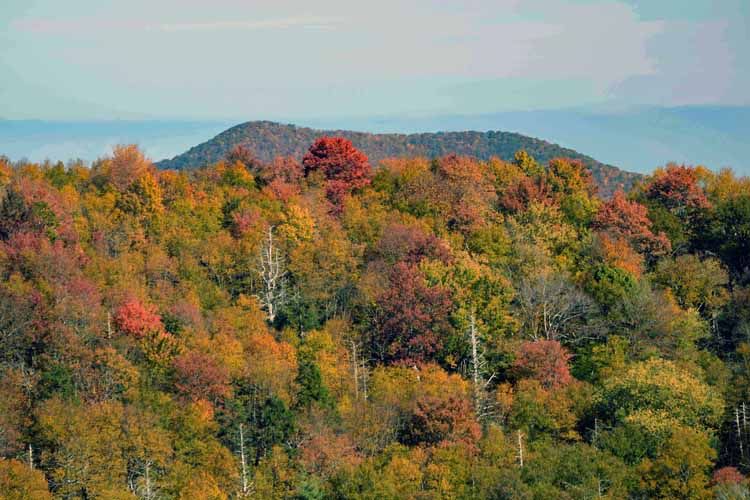 autuumn mountainside vista